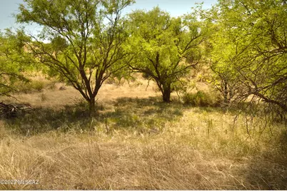 194 Tanglehead Lane #Lot 23, Patagonia, AZ 85624 - Photo 10