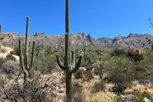 7128 N Mercer Spring Pl, Tucson, AZ 85718 - Photo 1