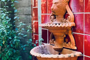 2010 E River Rd, Tucson, AZ 85718 - Photo 2