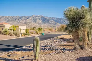 38324 S Silverwood Dr, Saddlebrooke, AZ 85739 - Photo 42