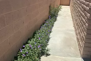 310 W Canada St, Tucson, AZ 85706 - Photo 24