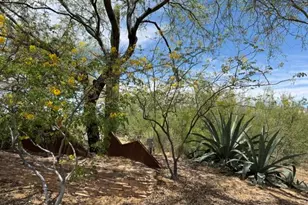 3456 W Copper Spirit Dr, Marana, AZ 85658 - Photo 38