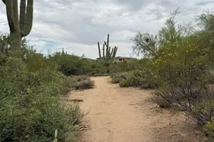 3456 W Copper Spirit Dr, Marana, AZ 85658 - Photo 48
