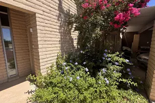 1027 E Irene Circle, Sunsites, AZ 85625 - Photo 2