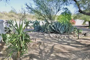 5351 N Camino De Oeste, Tucson, AZ 85745 - Photo 12