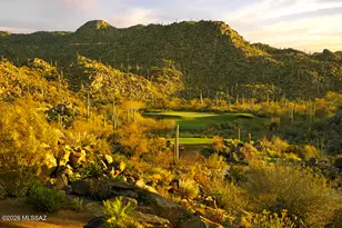 14333 N Mickelson Cyn Ct, Oro Valley, AZ 85755 - Photo 48