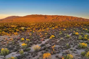 1000 N Camino Cordon, Tucson, AZ 85748 - Photo 2
