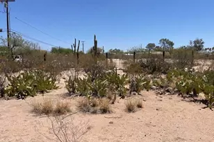 1106 E Halcyon Rd, Tucson, AZ 85719 - Photo 12