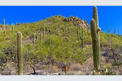 14144 N Tortolita Estates Drive, Tucson, AZ 85755 - Photo 14