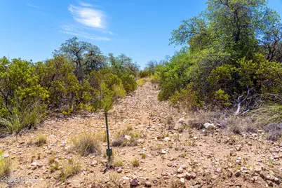 Tbd W Oak Hills Drive, Oracle, AZ 85623 - Photo 8