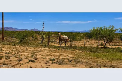 827 E Newland Street, Pearce, AZ 85625 - Photo 32