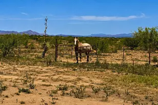 827 E Newland St, Pearce, AZ 85625 - Photo 32