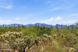 13751 N Rim Trail, Marana, AZ 85658 - Photo 38