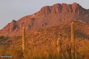 3274 S Feldspar Ave, Tucson, AZ 85735 - Photo 28