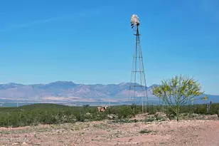 998 W Cholla Trail, Tombstone, AZ 85638 - Photo 50
