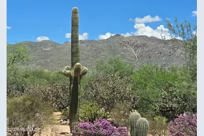 11743 E Limberlost Road, Tucson, AZ 85749 - Photo 8