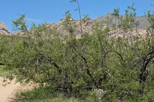 Tbd Lehigh St, Pearce, AZ 85625 - Photo 1