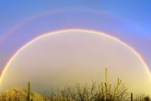 5422 N VÃ­a Papavero, Tucson, AZ 85750 - Photo 34