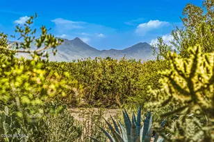 1010 N Placita Yoas, Green Valley, AZ 85614 - Photo 2