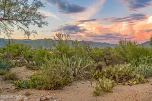 2955 N Tomahawk Trail, Tucson, AZ 85749 - Photo 40
