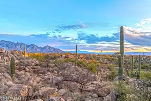 1178 W Tortolita Mountain Circle, Oro Valley, AZ 85755 - Photo 12