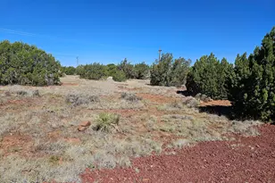 1798 Doughty Pl, Show Low, AZ 85901 - Photo 1
