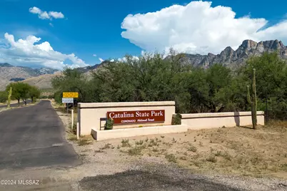 3526 E Violet Ridge Road, Tucson, AZ 85739 - Photo 4