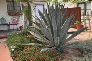 736 S Herbert Ave, Tucson, AZ 85701 - Photo 28