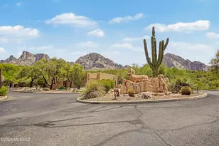 1775 E Buck Ridge Pl, Oro Valley, AZ 85737 - Photo 46