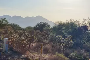 16130 W Prosperi Ave, Tucson, AZ 85736 - Photo 2