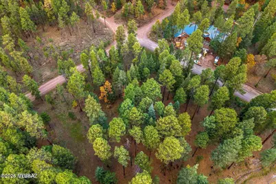 000 County Road 2196, Alpine, AZ 85920 - Photo 12