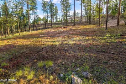 7 Eric Lane #28, Alpine, AZ 85920 - Photo 8