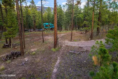 7 Eric Lane #28, Alpine, AZ 85920 - Photo 6