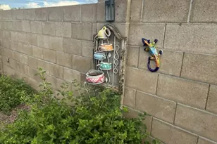 3604 S Harrison Shadow Way, Tucson, AZ 85730 - Photo 40