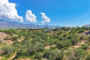 16642 N Windmill Pl, Tucson, AZ 85739 - Photo 1
