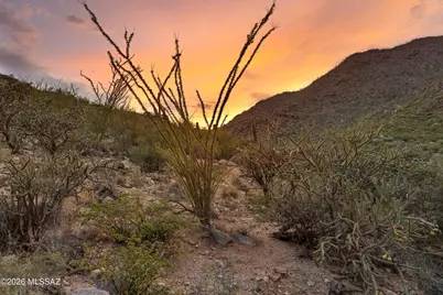 4255 W Cush Canyon Loop #116, Marana, AZ 85658 - Photo 12