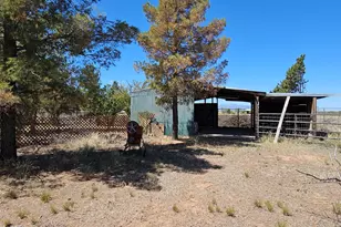 4290 Hwy 82, Elgin, AZ 85611 - Photo 36