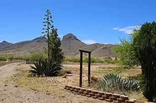 4290 Hwy 82, Elgin, AZ 85611 - Photo 4