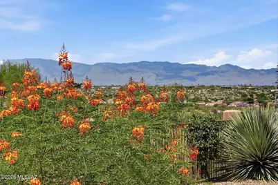 5180 S Emma Court, Tucson, AZ 85747 - Photo 48