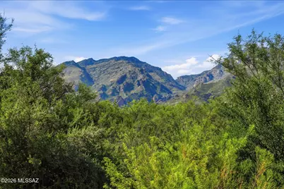 5800 N Kolb Road #8143, Tucson, AZ 85750 - Photo 34