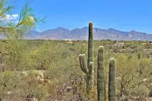 12866 N High Hawk Dr, Marana, AZ 85658 - Photo 14