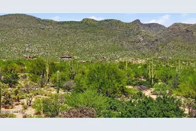 10401 E Plumeria Road, Tucson, AZ 85749 - Photo 40