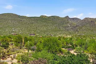 10401 E Plumeria Rd, Tucson, AZ 85749 - Photo 40