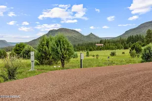 2 N2166 St, Nutrioso, AZ 85932 - Photo 20