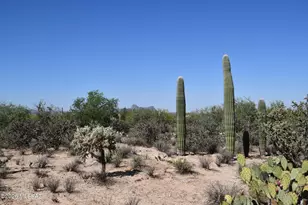3750+- W Pecos Way, Tucson, AZ 85742 - Photo 1
