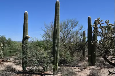 3750+- W Pecos Way, Tucson, AZ 85742 - Photo 2