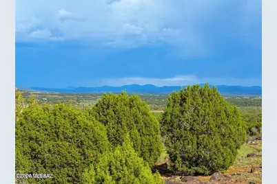 8087 Mustang Ln 20 Acres, Show Low, AZ 85901 - Photo 10