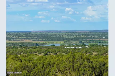 8087 Mustang Ln 20 Acres, Show Low, AZ 85901 - Photo 1