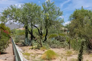 12988 N Burrobush Loop, Marana, AZ 85658 - Photo 36
