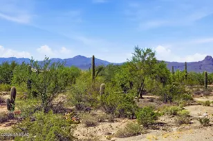 5949 W Rocky Rd, Tucson, AZ 85742 - Photo 50